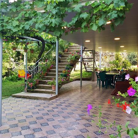 Valiko House In Telavi Hotell Eksteriør bilde
