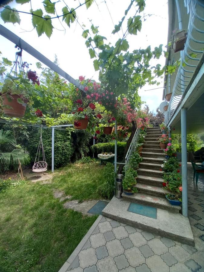 Valiko House In Telavi Hotell Eksteriør bilde