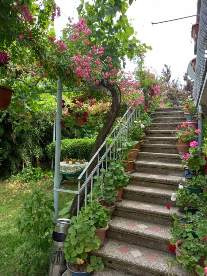 Valiko House In Telavi Hotell Eksteriør bilde